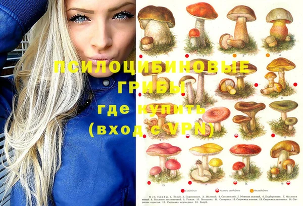 apvp Лиски