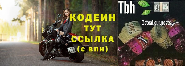 гидра Алапаевск