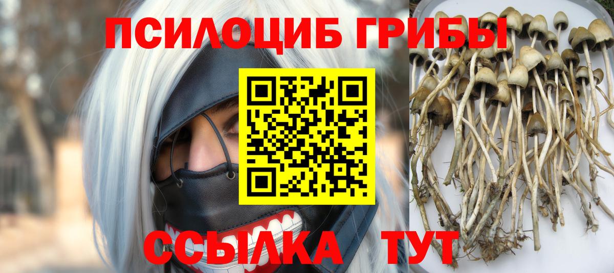 Чернушка  Галлюциногенные грибы ЛСД  Галлюциногенные грибы GOLDEN TEACHER  Вход с VPN 