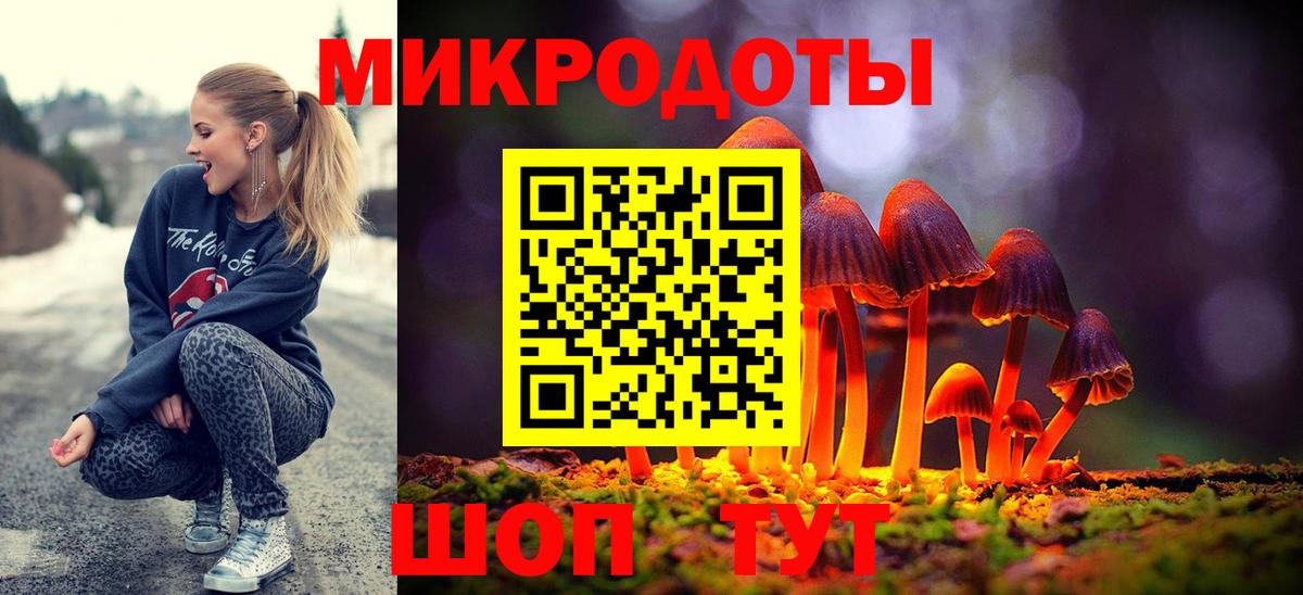 Галлюциногенные грибы мухоморы Чернушка